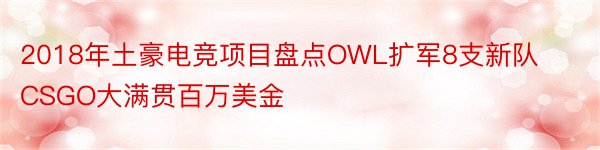 2018年土豪电竞项目盘点OWL扩军8支新队CSGO大满贯百万美金